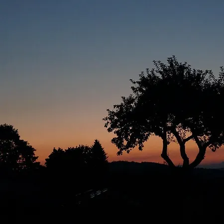 Hunsruecknest * Malborn