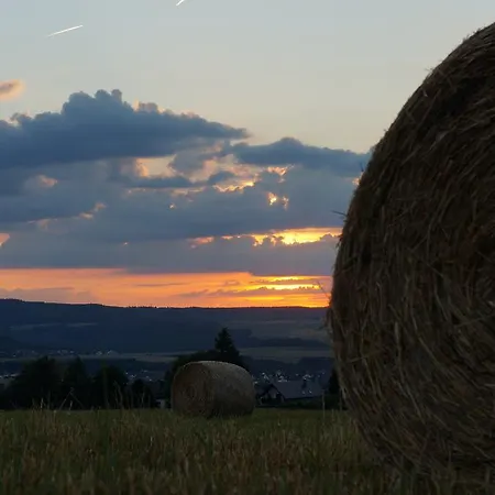 Hunsruecknest * Malborn