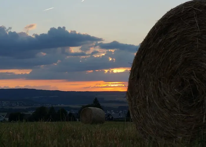 Hunsruecknest * Malborn