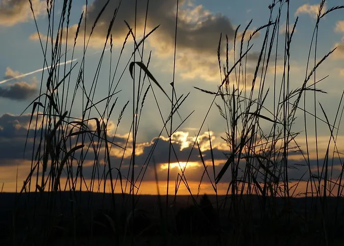 Hunsruecknest Malborn